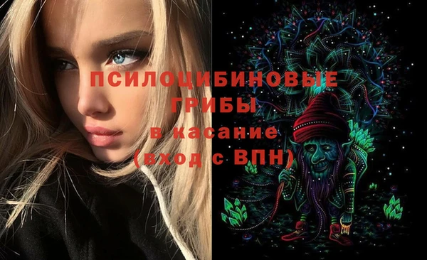 круглые Иннополис