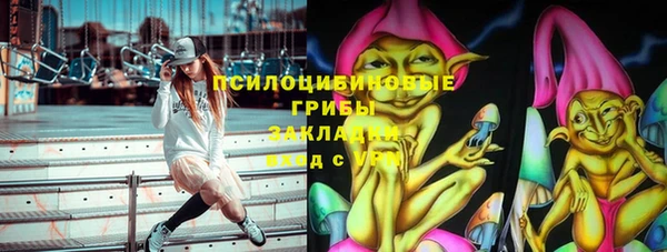 первитин Инта
