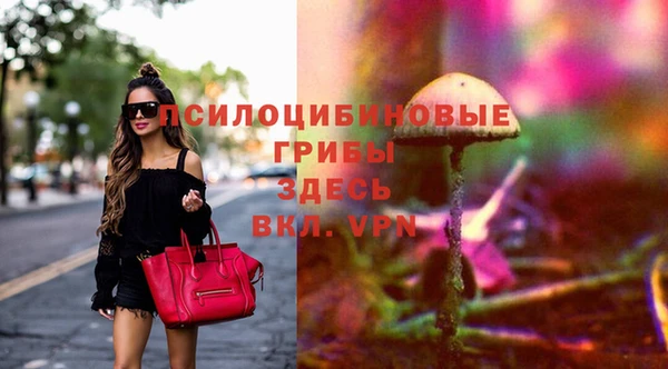 круглые Иннополис