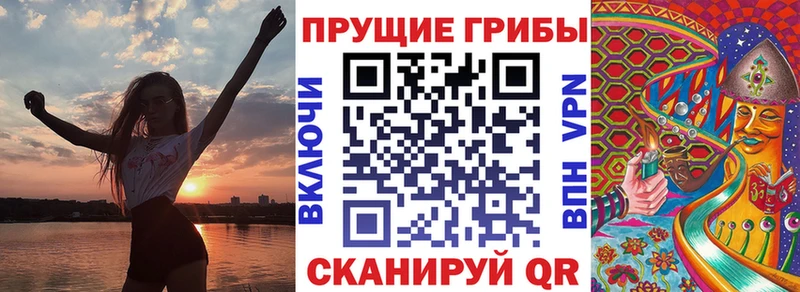 Купить  Бологое  Галлюциногенные грибы Cubensis 