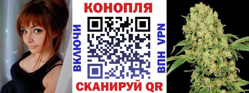 Купить  Бологое  Шишки марихуана SATIVA & INDICA 